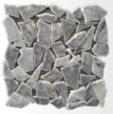 Palledien